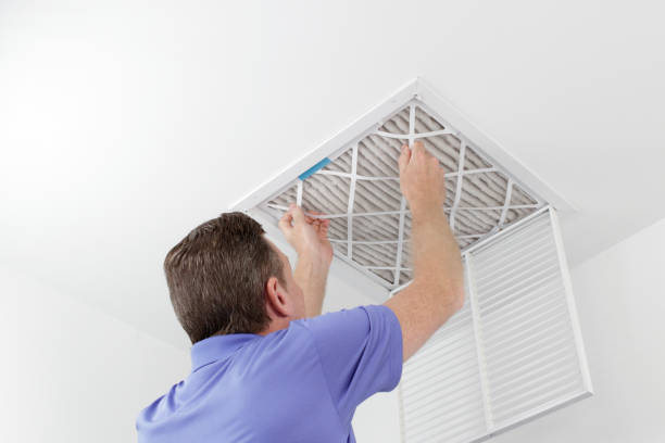 Best Mold and Mildew Removal from Ducts in Clementon, NJ